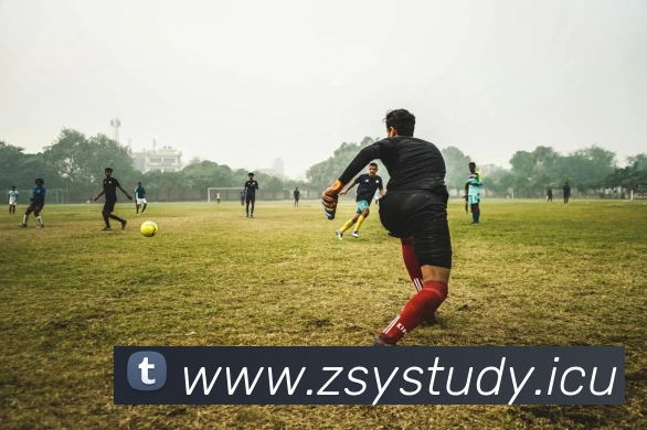 9游会官网首页平台生态图